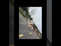 सीपीएम प्रकार 20टी/एच बायोमास लकड़ी के गोली उत्पादन लाइन कम ऊर्जा के साथ