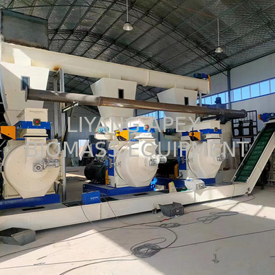 Complete 1-10 Ton/Hour Rubber Wood Pellet Production Line DR650
